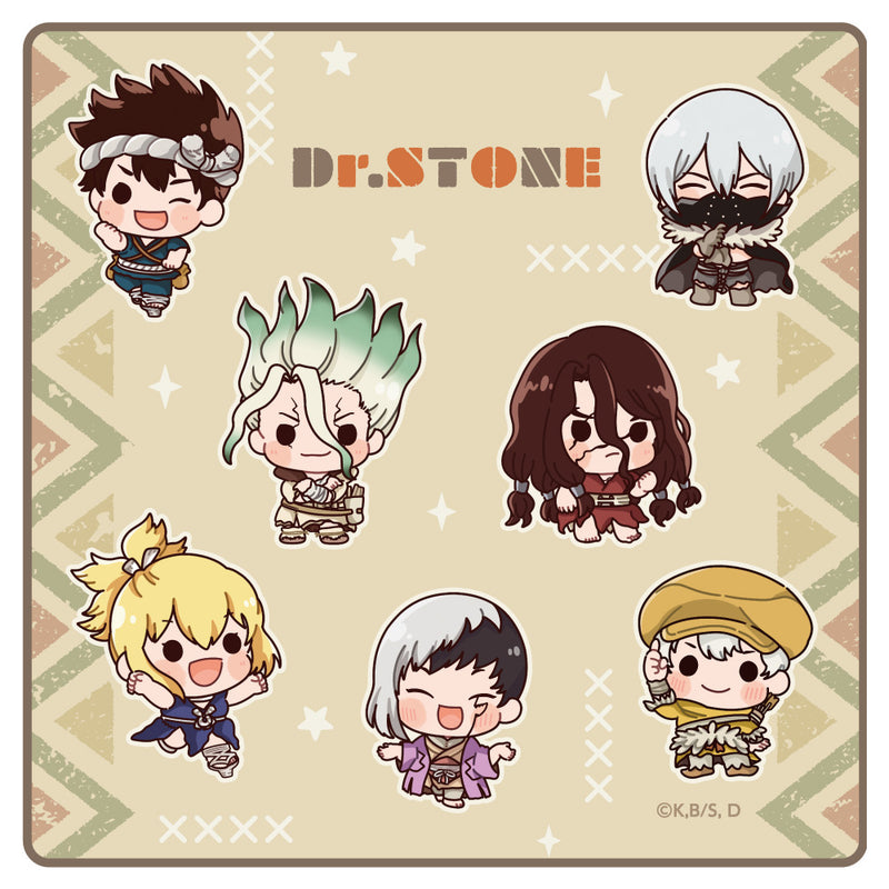 Ｄｒ．ＳＴＯＮＥ ハンドタオル